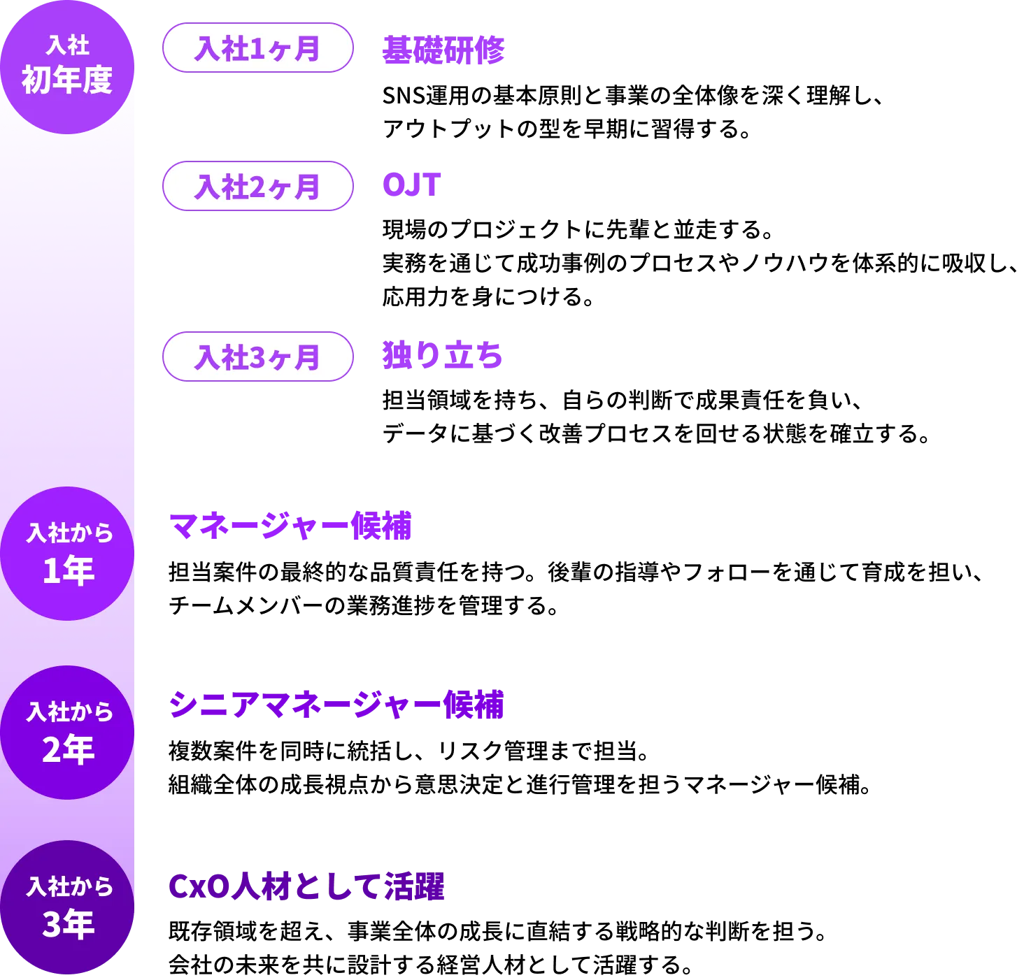 入社後のルートマップ